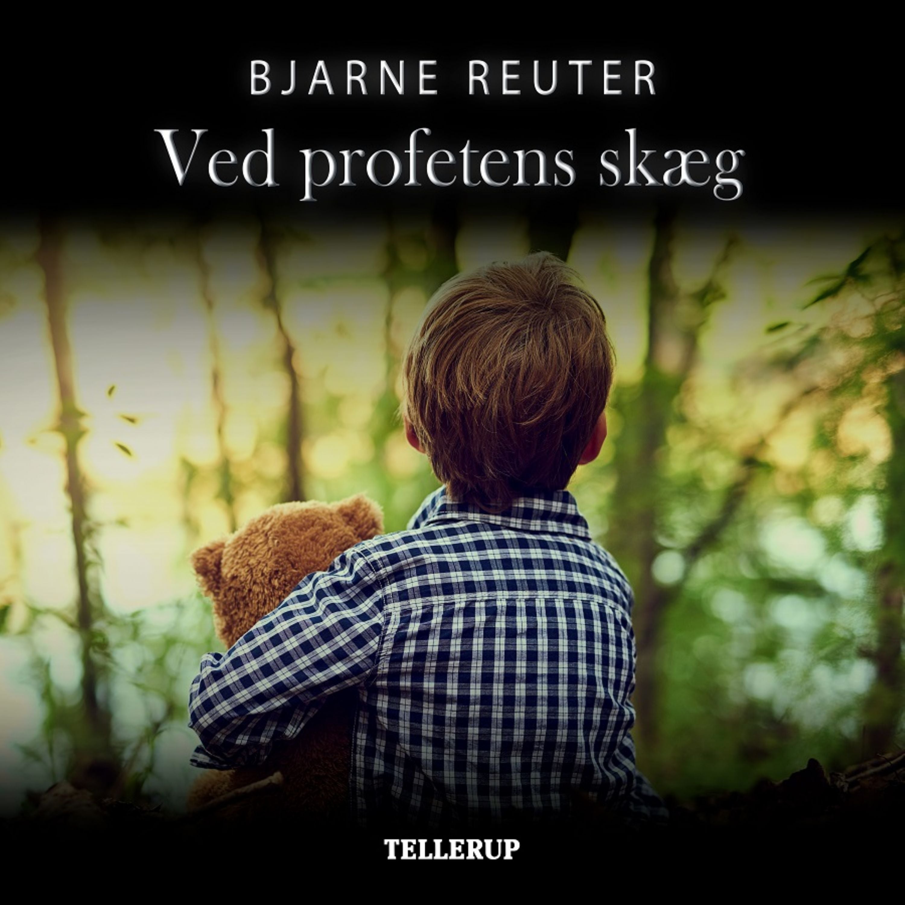 Forside billede